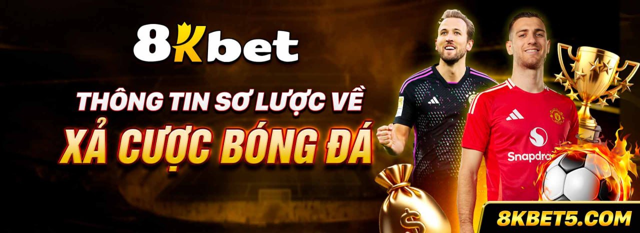 baner - Nhà cái 8kbet trang cá cược uy tín