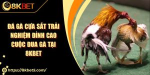 Đá Gà Cựa Sắt Trải Nghiệm Đỉnh Cao Cuộc Đua Gà Tại 8KBET
