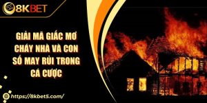 Giải mã giấc mơ cháy nhà và con số may rủi trong cá cược