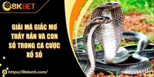 Giải Mã Giấc Mơ Thấy Rắn Và Con Số Trong Cá Cược Xổ Số